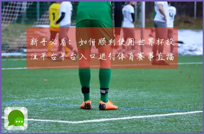 新手必看：如何顺利使用世界杯投注平台平台入口进行体育赛事直播