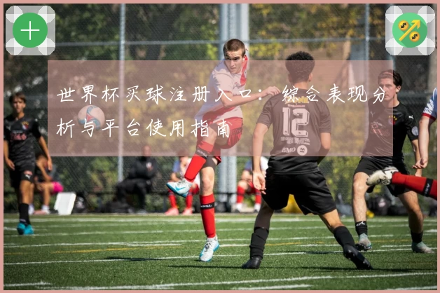 世界杯买球注册入口：综合表现分析与平台使用指南